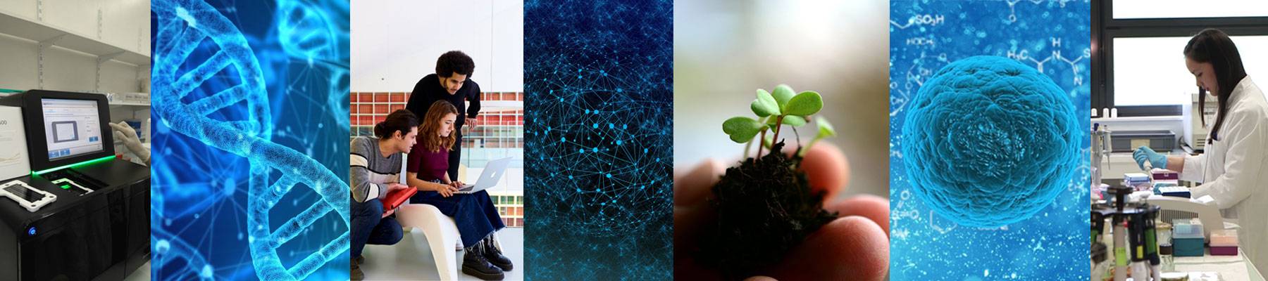 International Master 1 "Microbial and Plant Systems Biology" (MPSB) International Master 1 "Microbial and Plant Systems Biology" (MPSB)