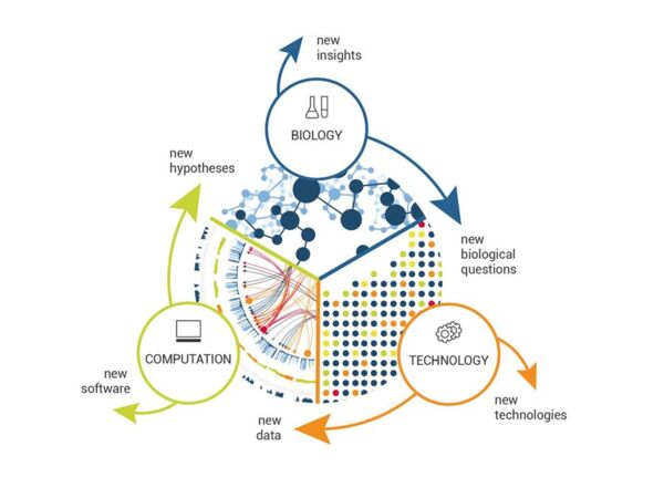 System Biology © 2020 Elsevier Inc. System Biology © 2020 Elsevier Inc.